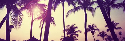 SaragLC's profile banner image