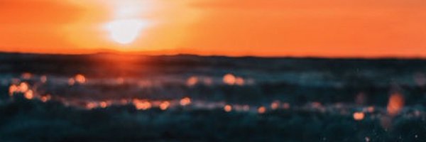 allipickard6 Profile Banner
