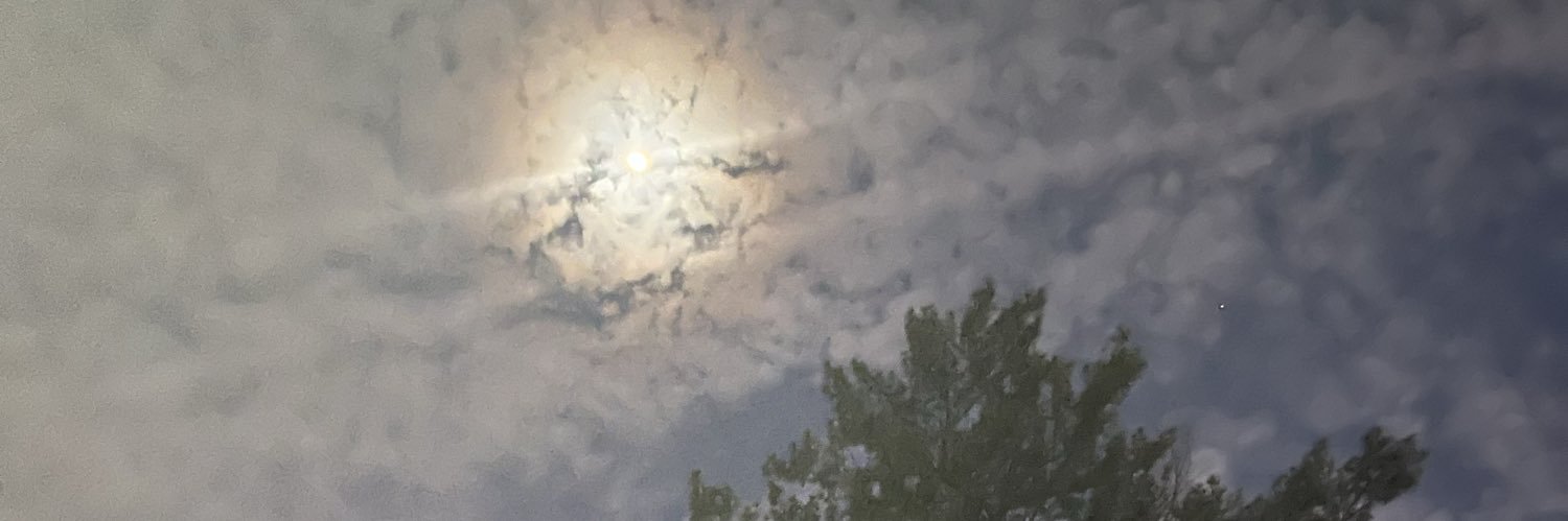 besttuggowar's profile banner image