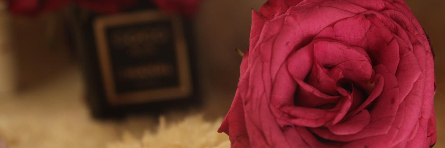 _Nouran_N's profile banner image