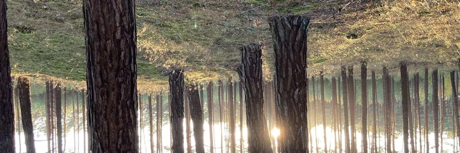 Reiko Winckler banner