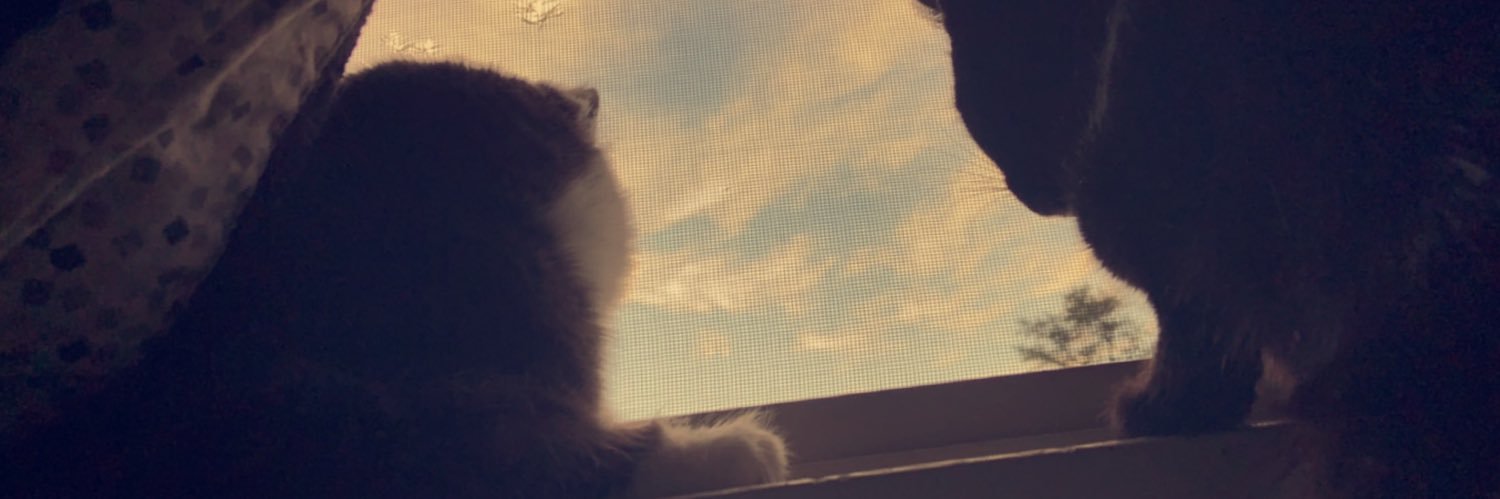 KamohMrs's profile banner image