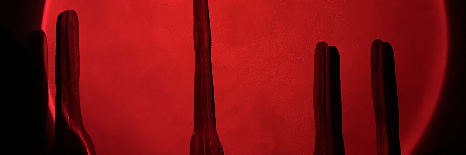melibacad's profile banner image