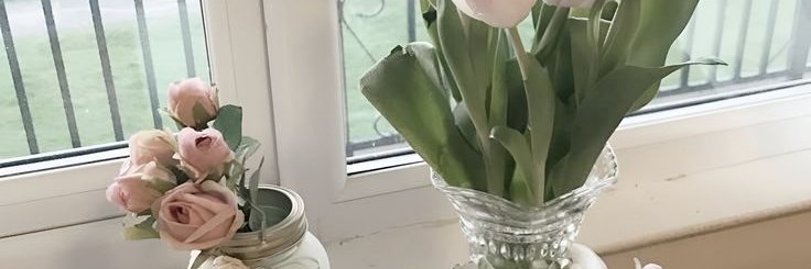 bxearist's profile banner image