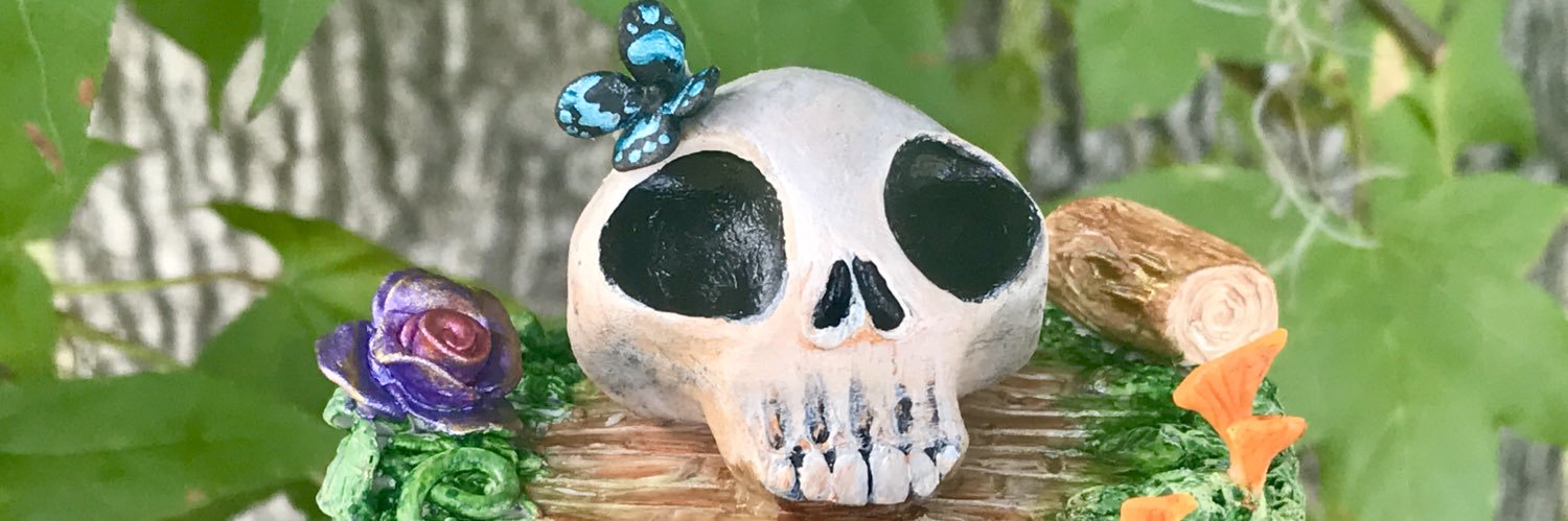 ShopNotDestiny's profile banner image