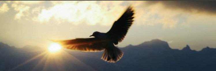 191394fahd's profile banner image
