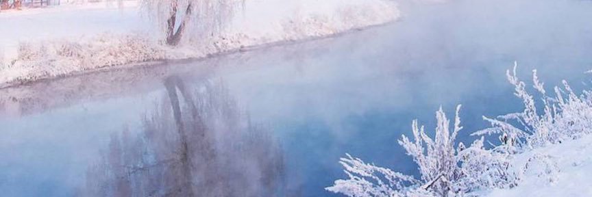 Raven💜🖤 banner