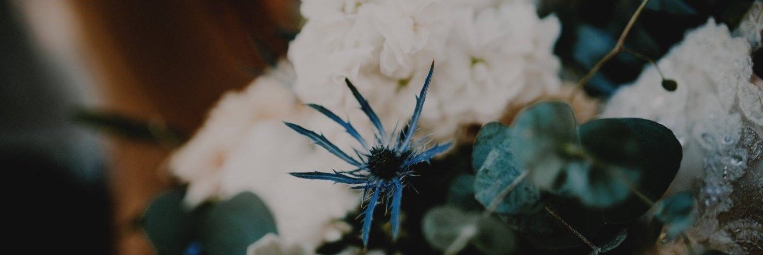 ClaireBasham's profile banner image