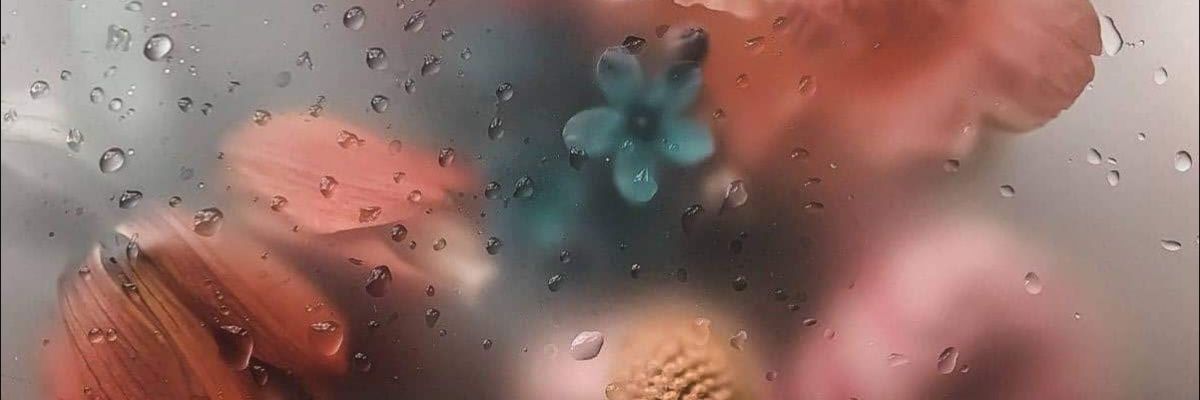 Lillandr_33's profile banner image