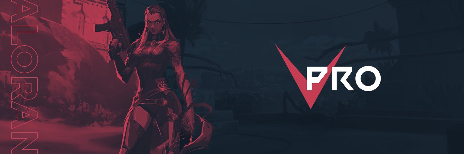 VALORANTPRO banner