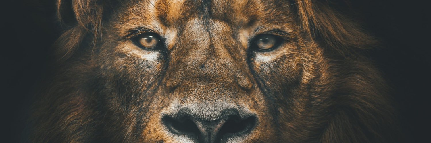 quavionnn's profile banner image