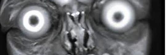 Kim Dzong Fun II banner