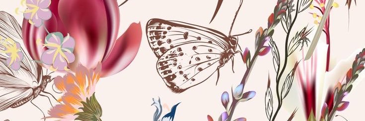 moolisk store🐈‍⬛ ྀི - Fsr WA/@ mt after DM banner