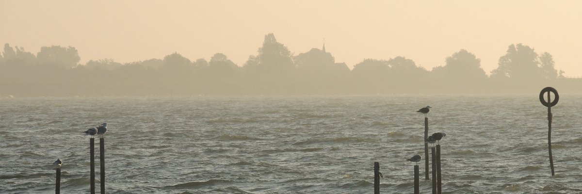 LeaMllr's profile banner image