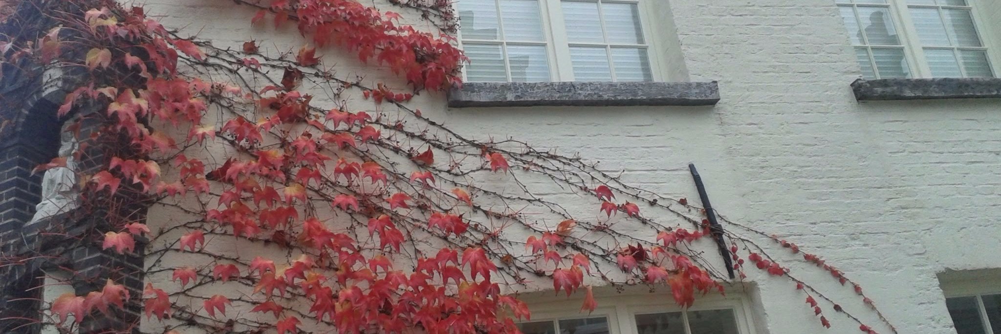 asembergman's profile banner image