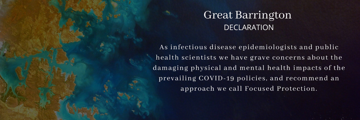 Great Barrington Declaration banner