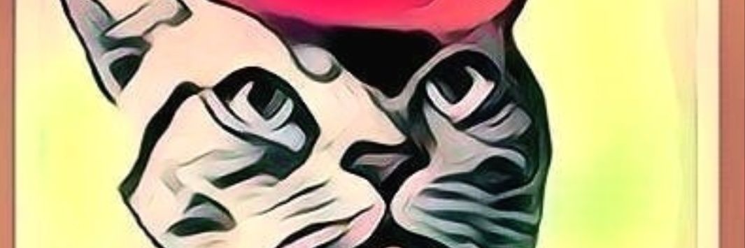 _Catsarse's profile banner image