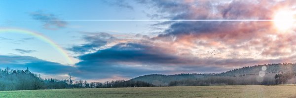 smogporter Profile Banner