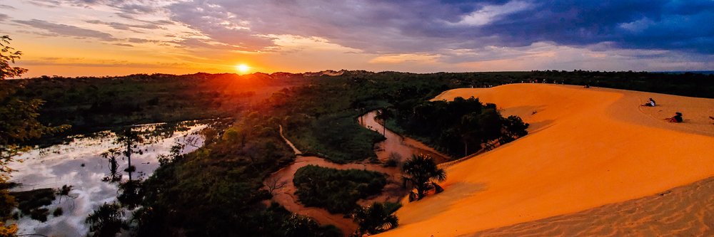 Jamie Ditaranto banner