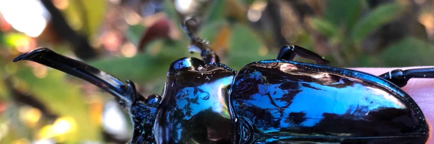 ペンギン banner
