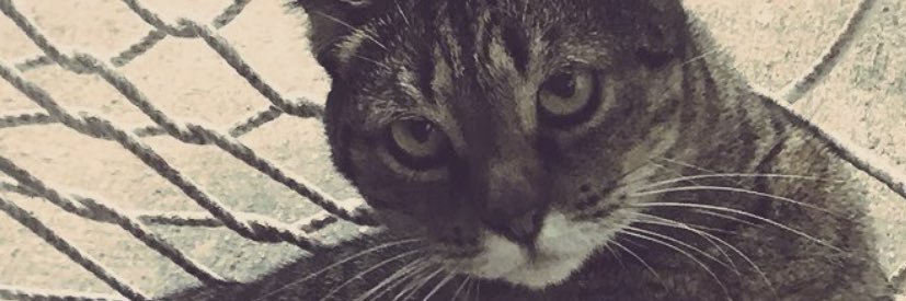 kennyghood's profile banner image