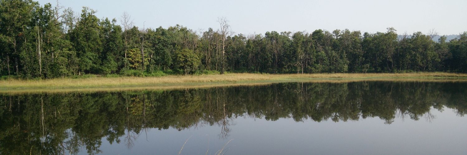 Deepa Padmanaban banner