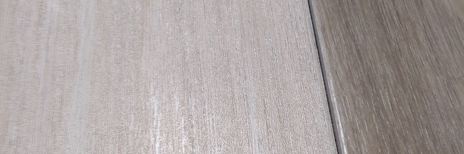 億り人になる！Miss.Tokyo banner