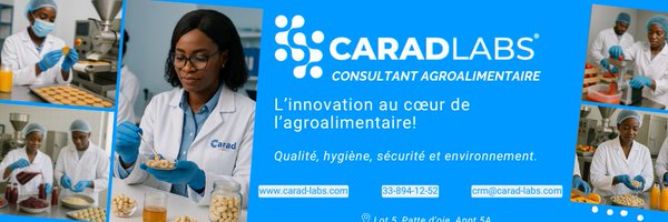 CaradLabs Profile Banner