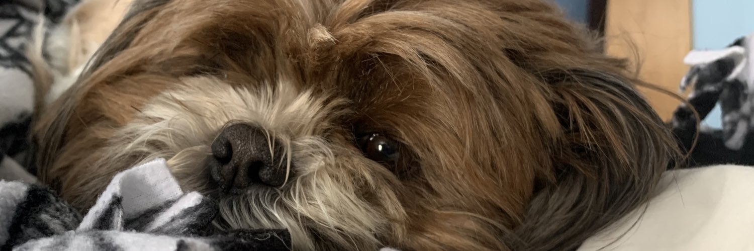 haileybacani's profile banner image