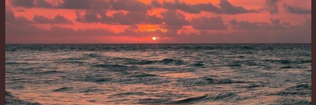 favorrr_'s profile banner image