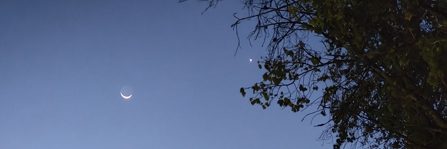 Alejandro Gao 🤙🏻👹 banner