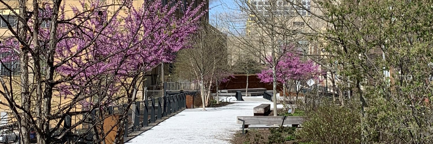 PHLSafeStreets banner