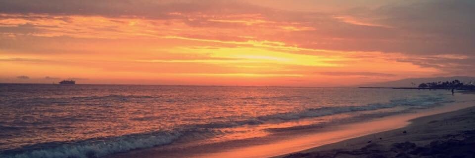 jade__walker's profile banner image