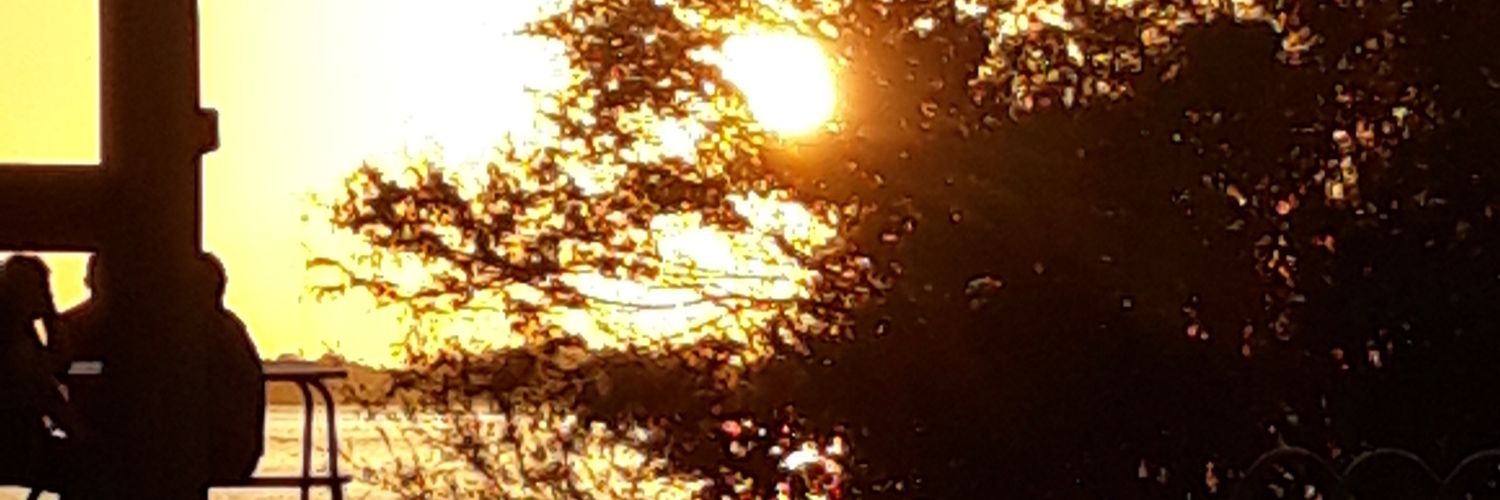 EfroesFroes's profile banner image