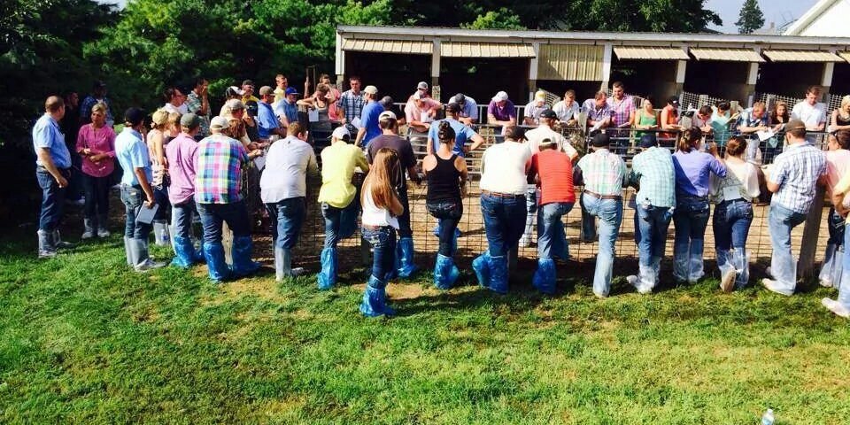 Judge_Livestock's profile banner image