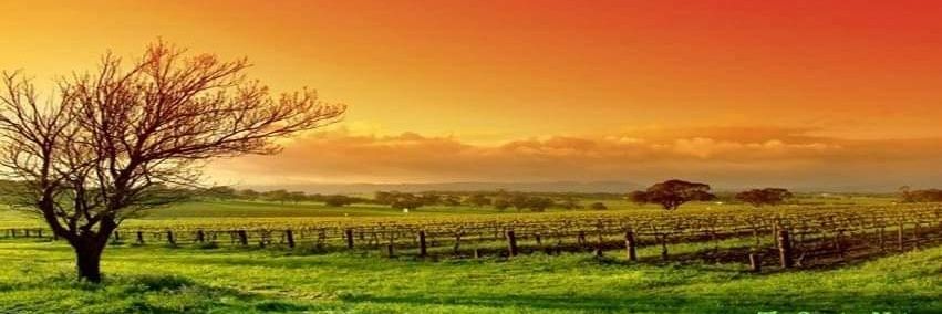swiss9911's profile banner image