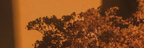 demkyot Profile Banner