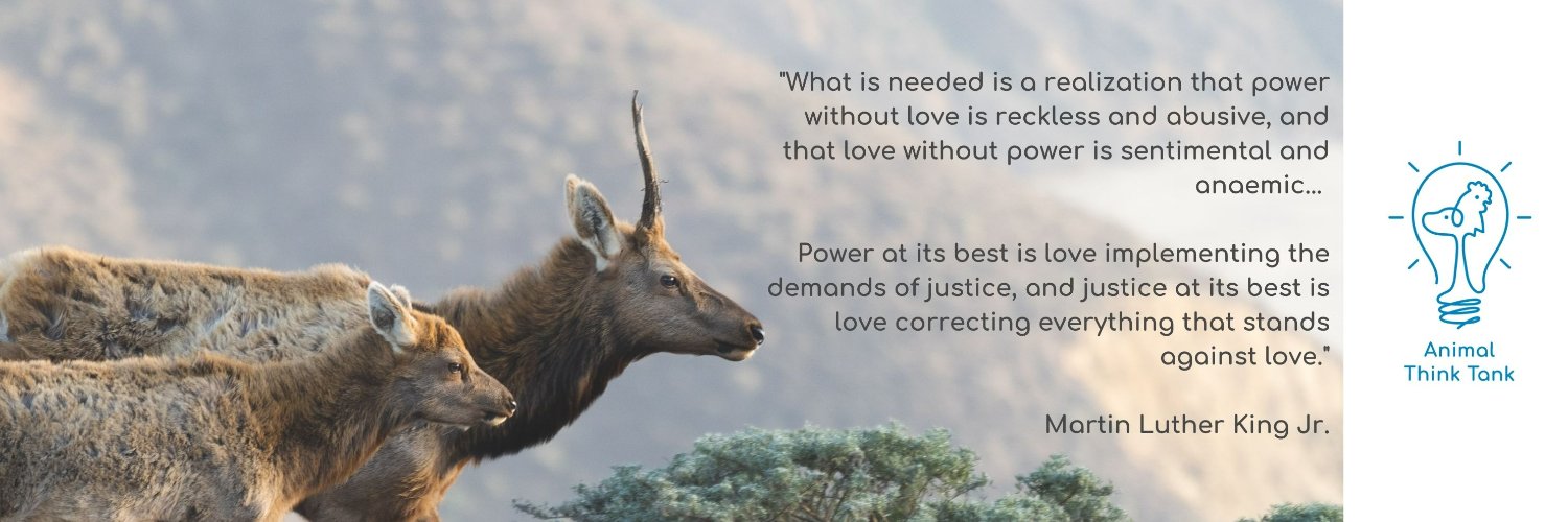 Animal Think Tank banner