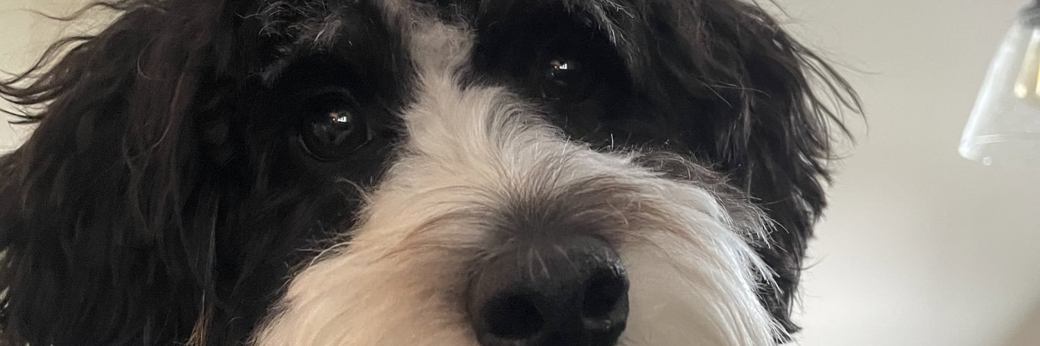 DaveDktribe's profile banner image