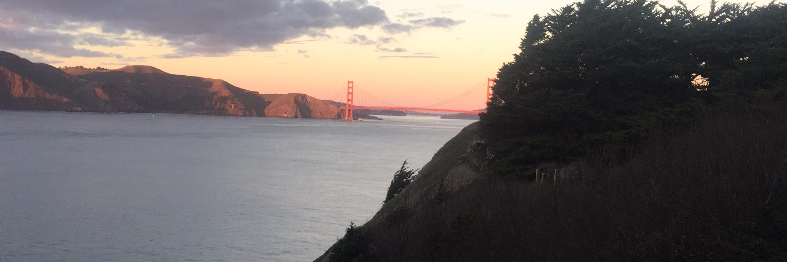 Dani Undurraga banner