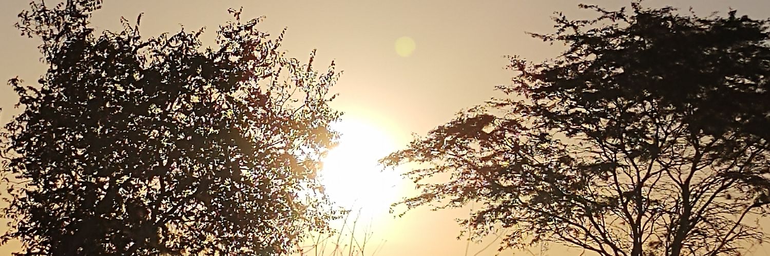 e_josefa's profile banner image