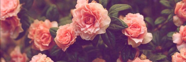 Tee_Crossley's profile banner image