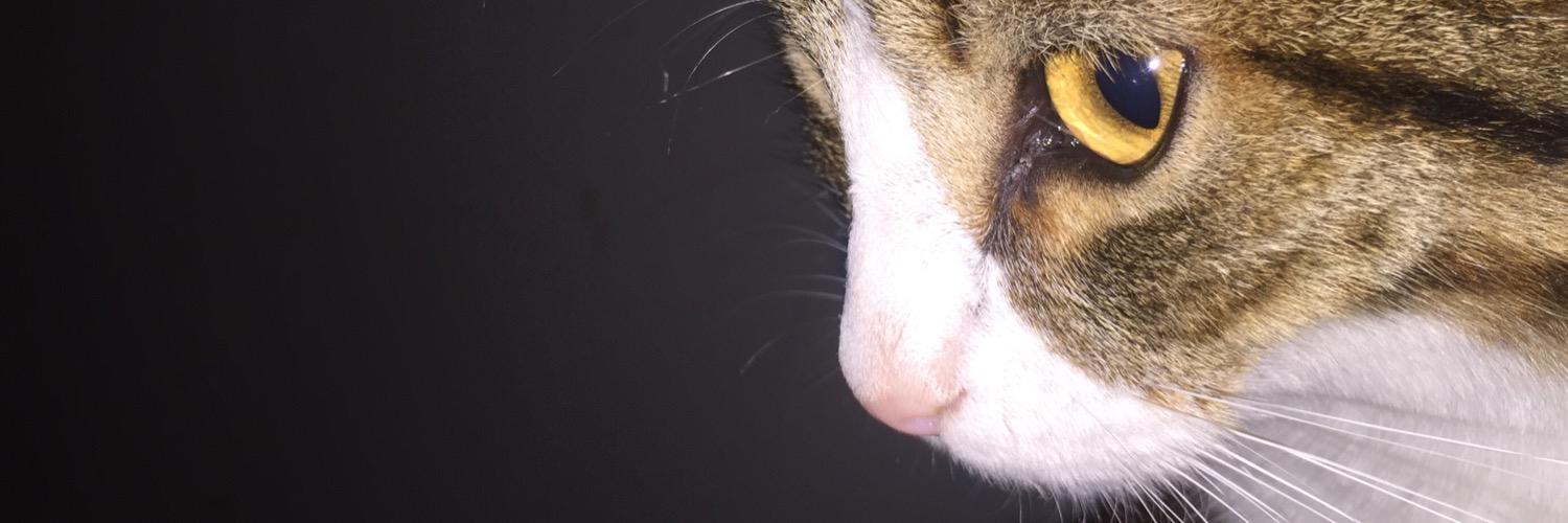 hernanzdc's profile banner image