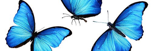 Mazria74's profile banner image