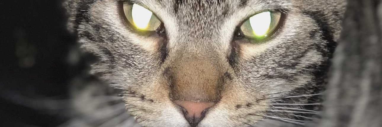 Starwox's profile banner image