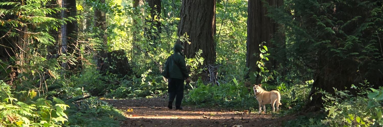 Pet the killer whale banner