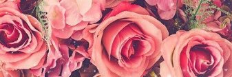 celenasarrell's profile banner image