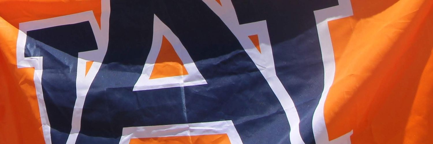 au_abides's profile banner image