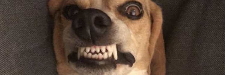 HopeDyra's profile banner image