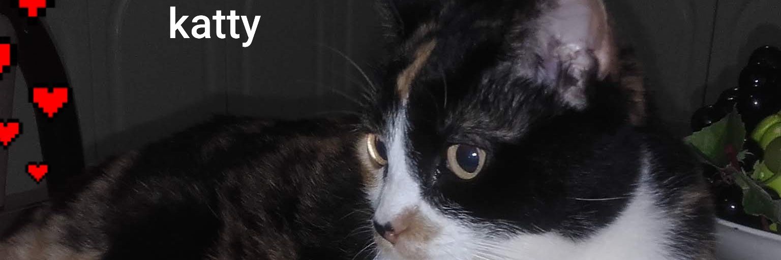 LiaELBA's profile banner image